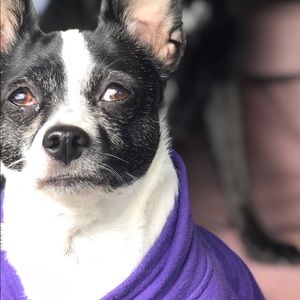 Meet your Posher, Jodi